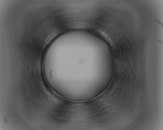 X0000091220482200709061502