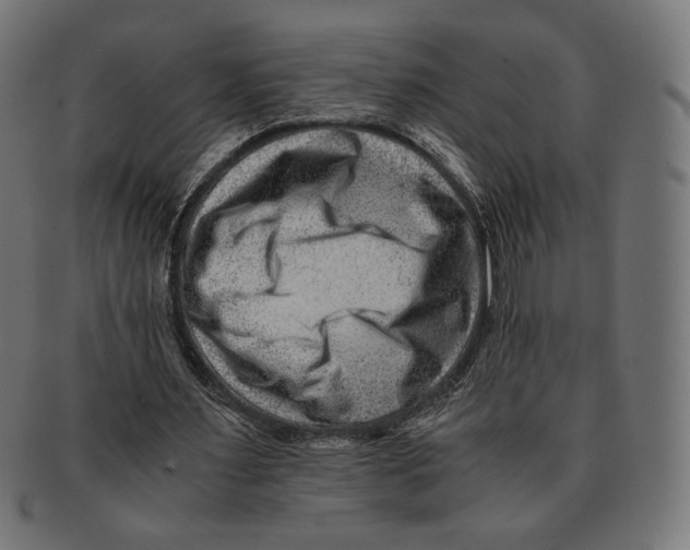 X0000091220483200709061502