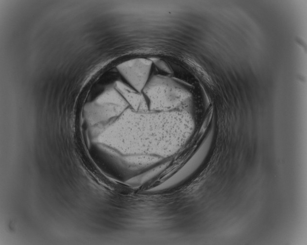 X0000091220484200709061502