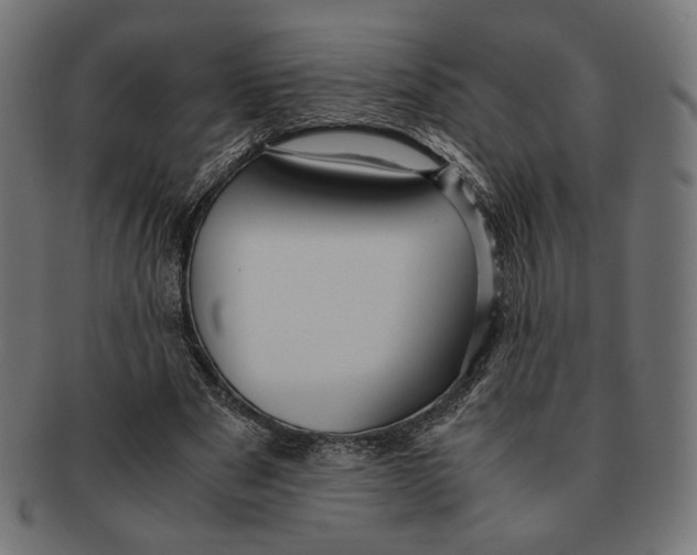 X0000091220489200709061502