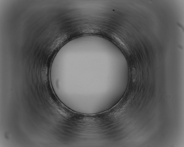 X0000091220490200709061502