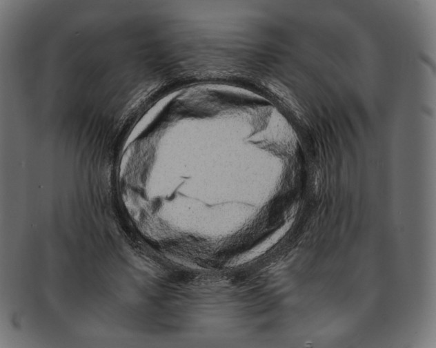 X0000091220491200709061502