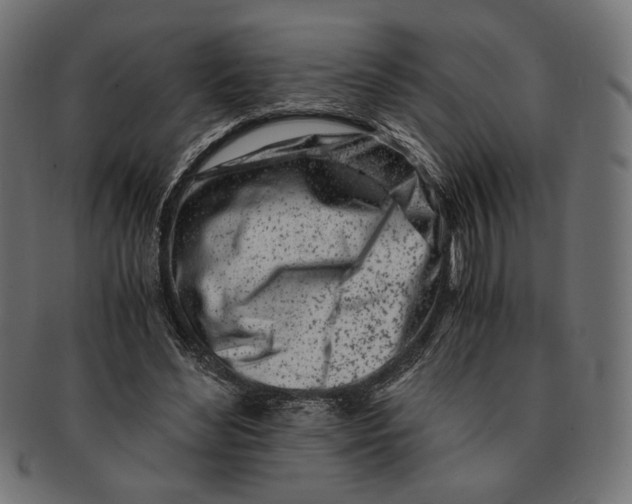 X0000091220492200709061502