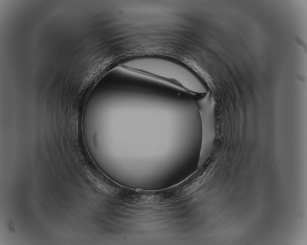 X0000091220493200709061502