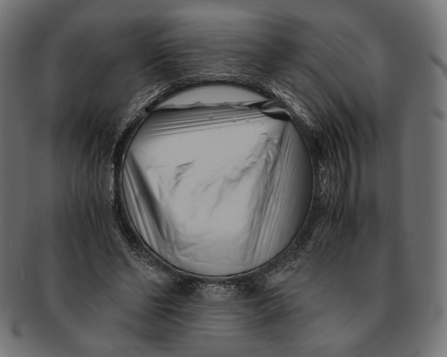 X0000091220494200709061502