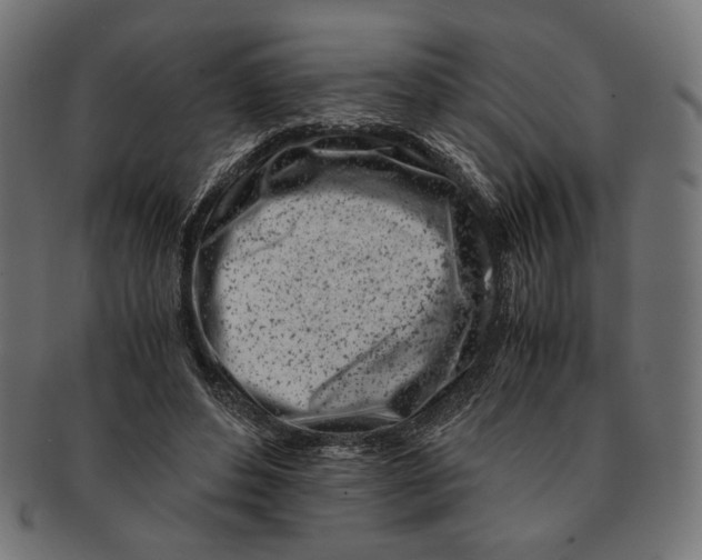 X0000091220496200709061502