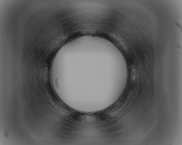 X0000091220498200709061502