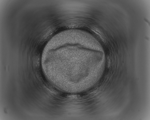 X0000091220499200709061502