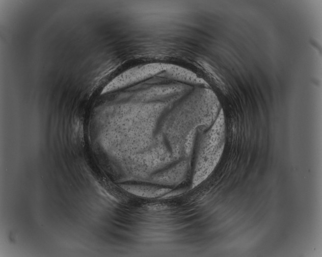 X0000091220500200709061502