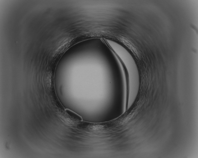 X0000091220501200709061502