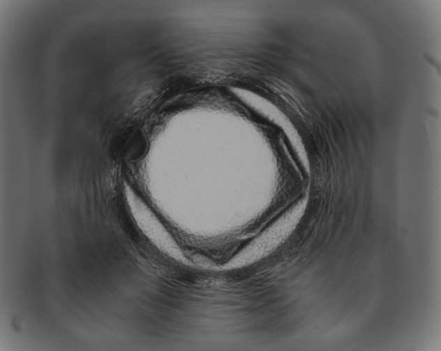 X0000091220503200709061502