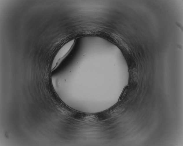 X0000091220505200709061502