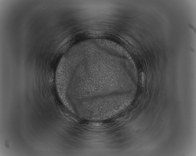 X0000091220507200709061502