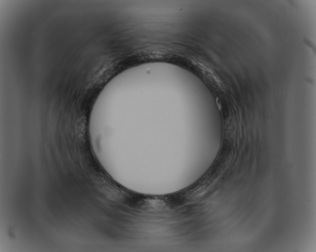 X0000091220509200709061502