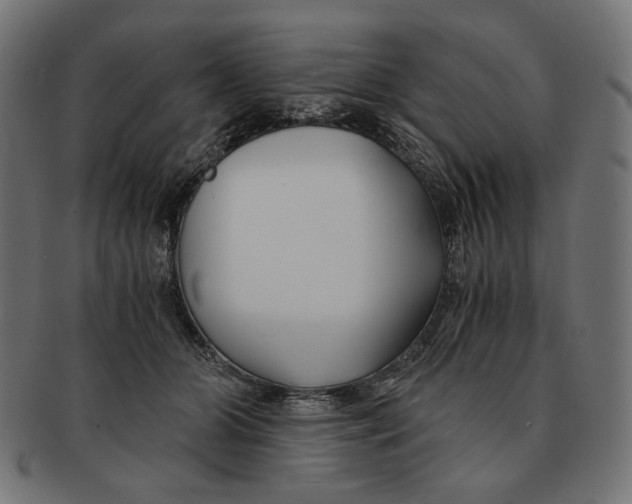 X0000091220510200709061502