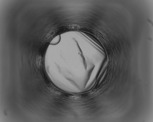 X0000091220511200709061502