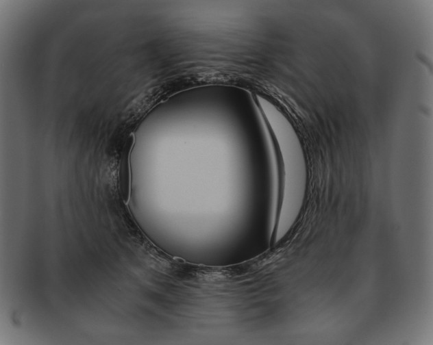 X0000091220513200709061502