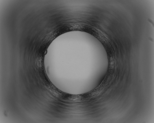 X0000091220514200709061502