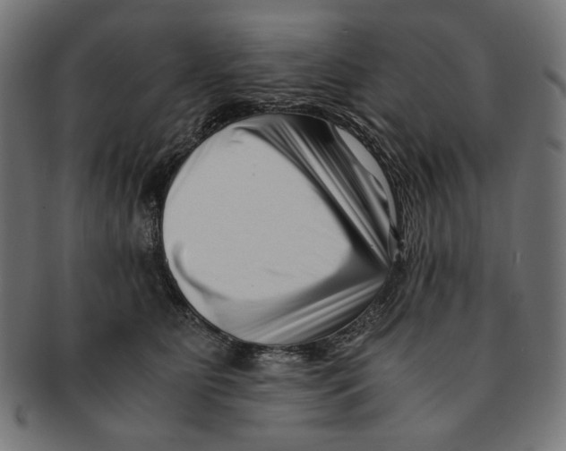 X0000091220515200709061502