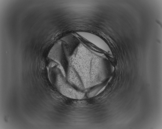 X0000091220517200709061502