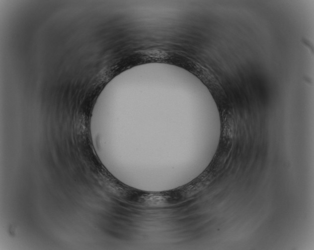 X0000091220518200709061502