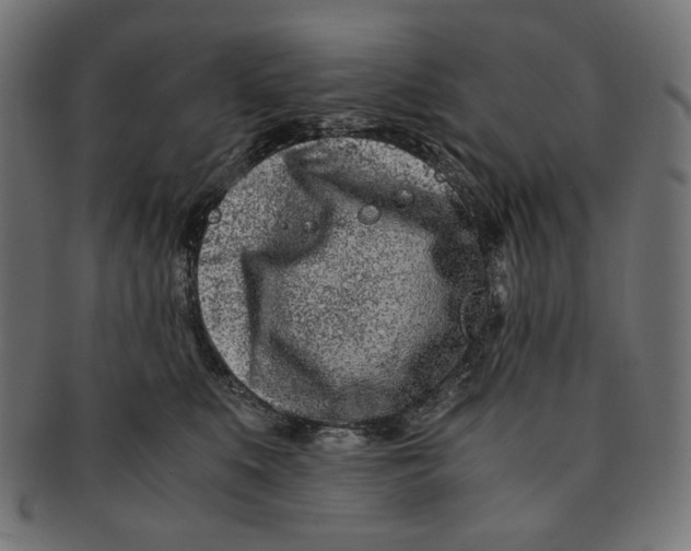 X0000091220519200709061502