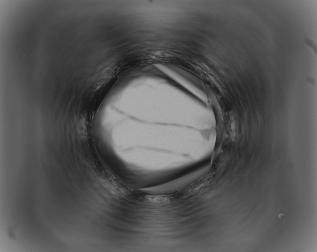 X0000091220520200709061502