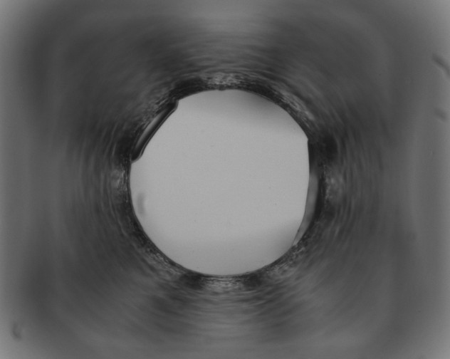 X0000091220521200709061502