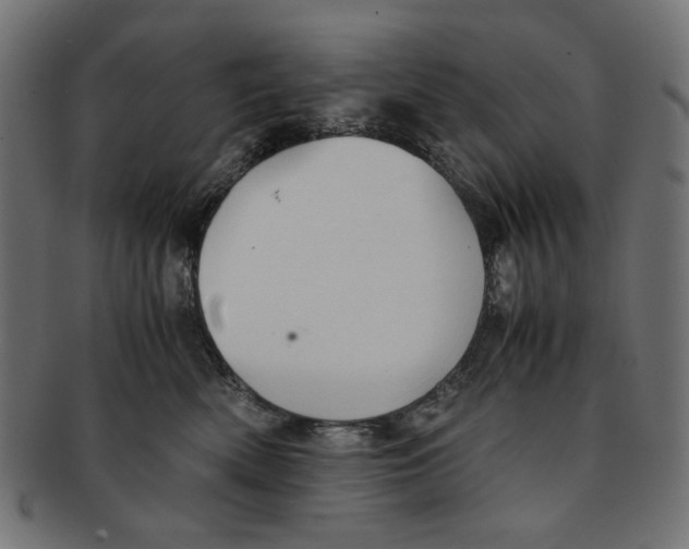 X0000091220522200709061502