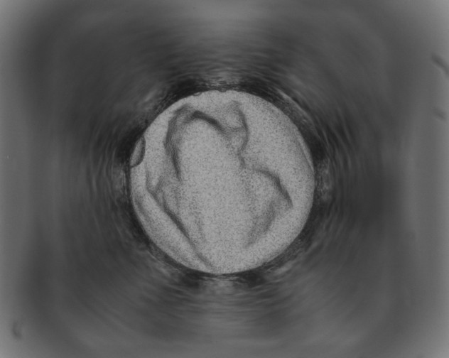 X0000091220523200709061502