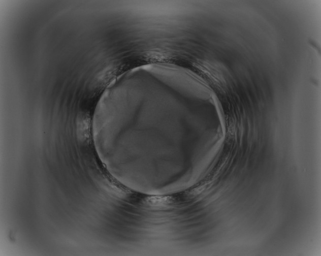 X0000091220526200709061502