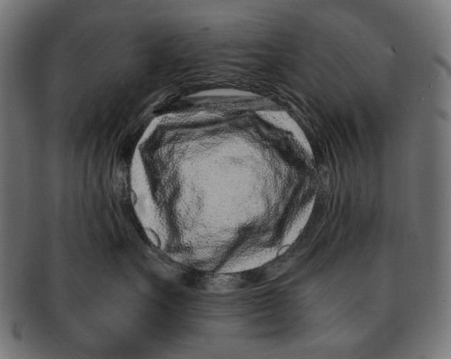 X0000091220527200709061502