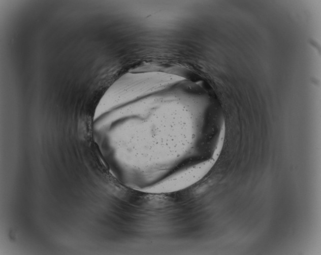 X0000091220528200709061502