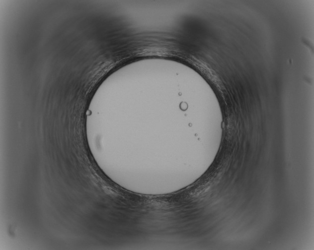 X0000091220529200709061501