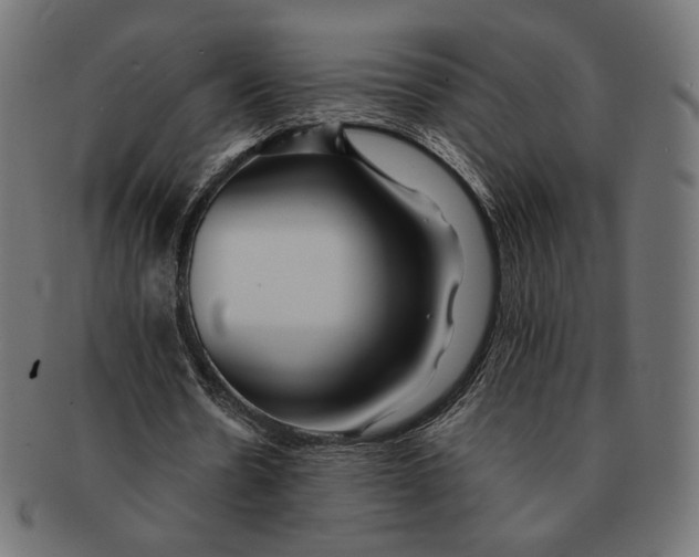 X0000091220530200709061501