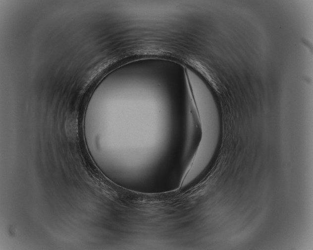 X0000091220531200709061501