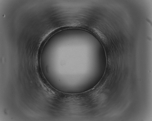 X0000091220532200709061501