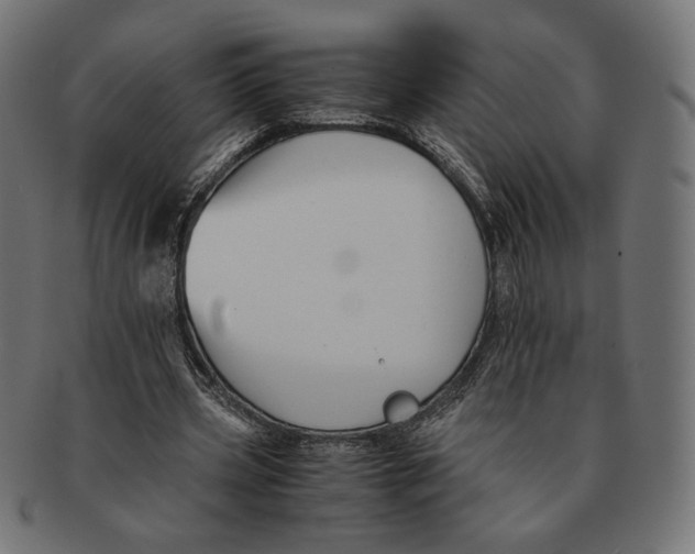 X0000091220533200709061501