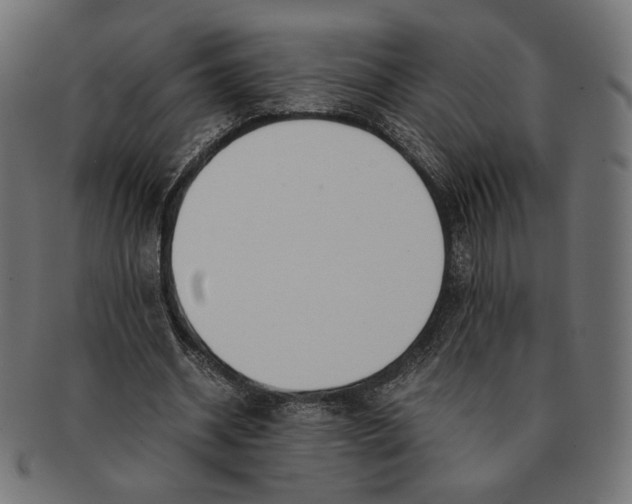 X0000091220534200709061501