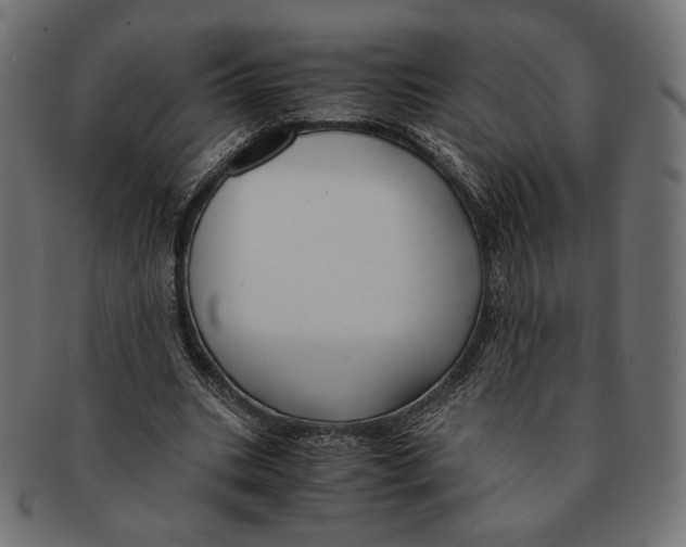 X0000091220535200709061501