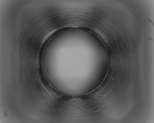 X0000091220536200709061501