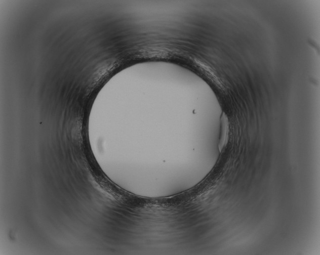 X0000091220538200709061501