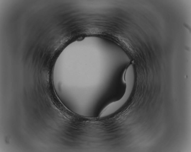 X0000091220539200709061501