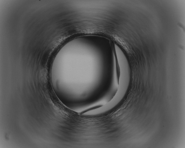 X0000091220540200709061501