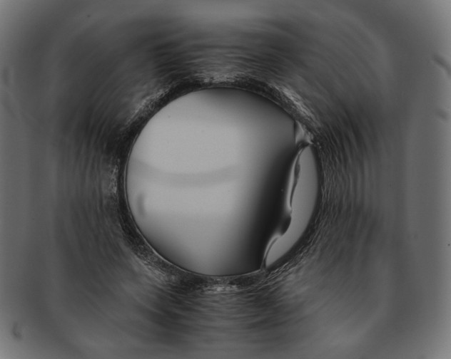 X0000091220543200709061501