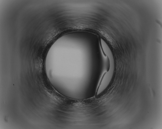 X0000091220544200709061501