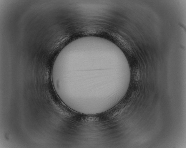 X0000091220546200709061501