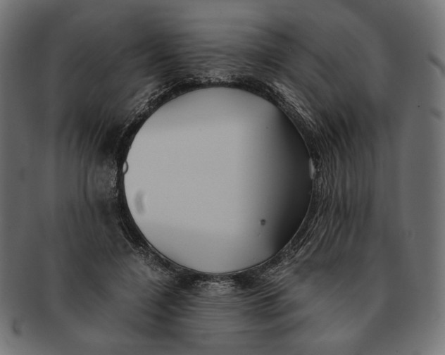 X0000091220548200709061501