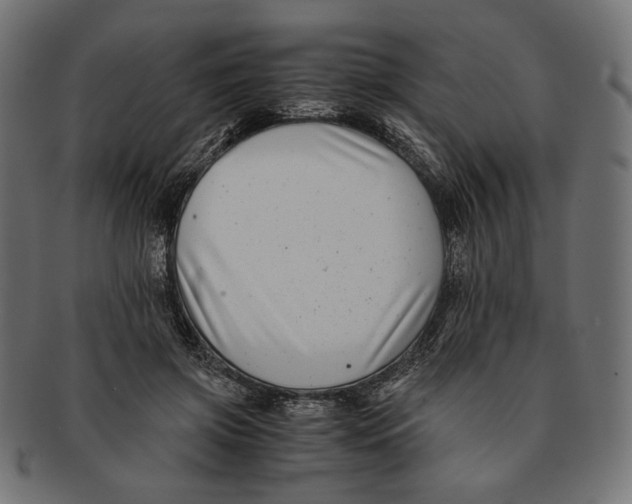 X0000091220549200709061501