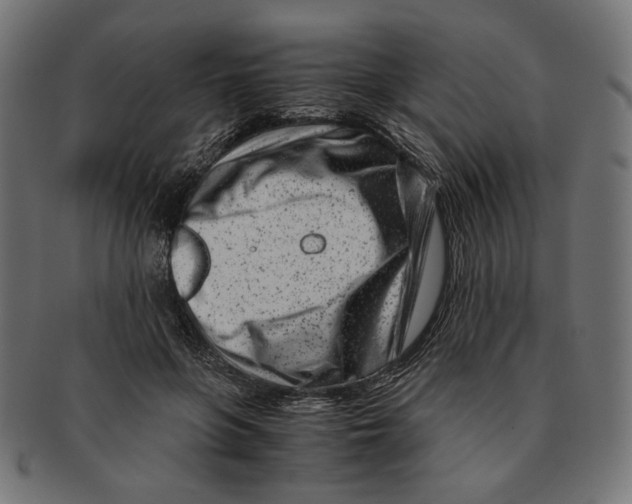 X0000091220551200709061501